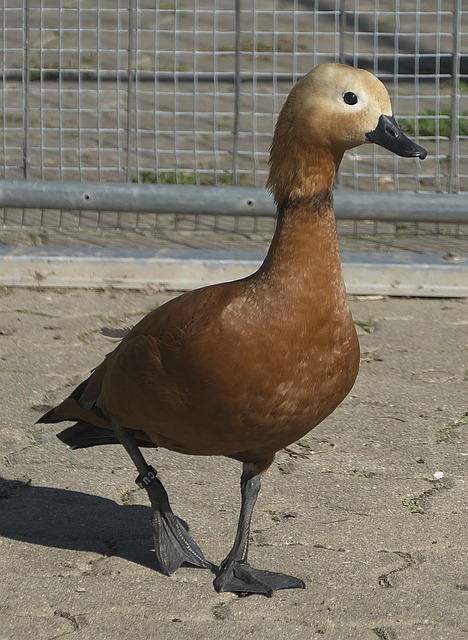 所在
