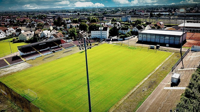 外文化交流 外文化交流