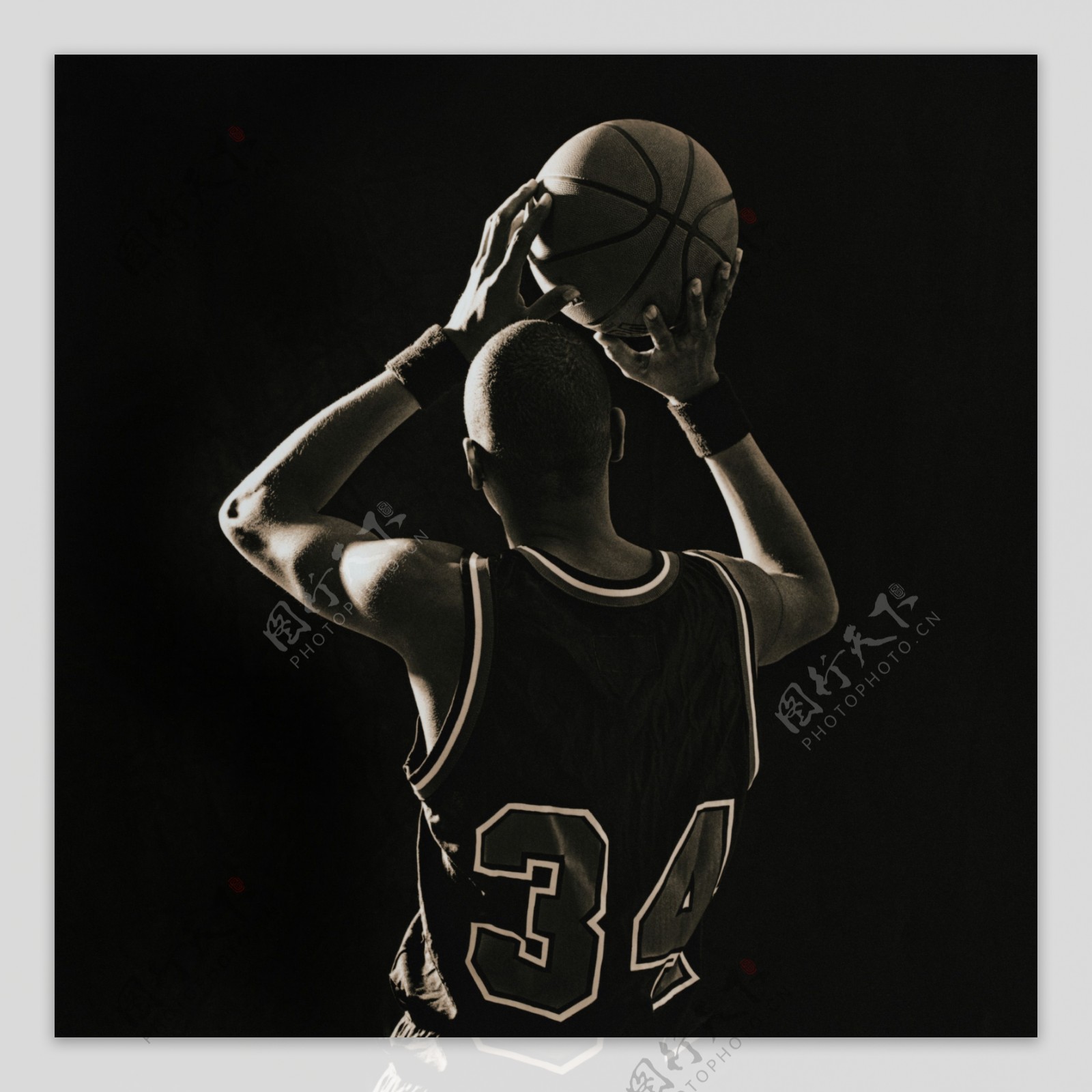 供了独特的 供了独特的