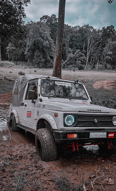 当时湖人通 当时湖人通