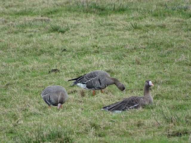 签证便利政 签证便利政